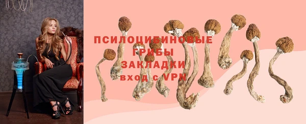 спайс Михайлов