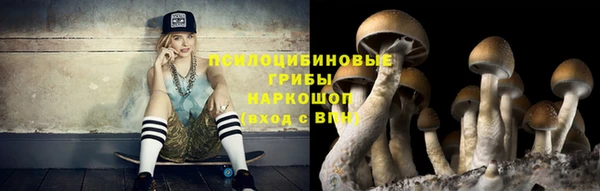 бутират Михайловск