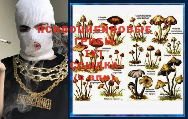 шишки Михайловка