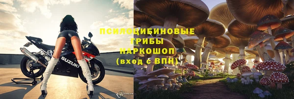 спайс Михайлов