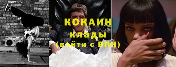 шишки Михайловка