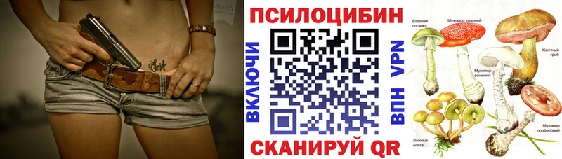 купить наркотики сайты Югорск Галлюциногенные грибы Psilocybe